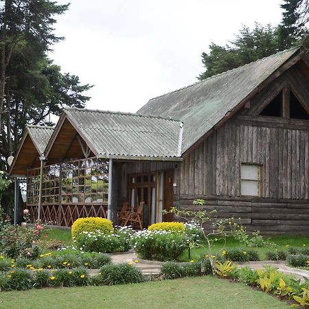 Calamander Lake Gregory Nuwara Eliya Eksteriør bilde